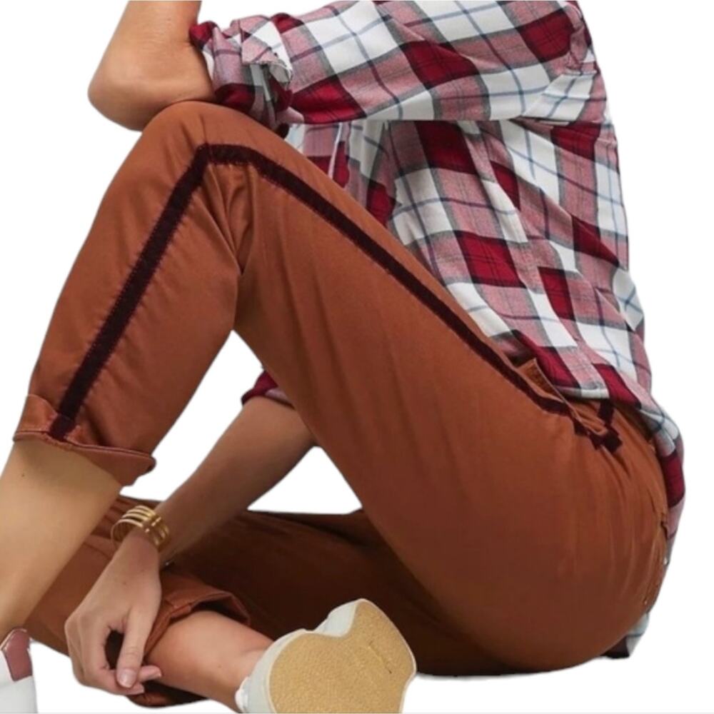 Anthropologie Chino Brown Pants Velvet Maroon Stripe Size‎ 29 relaxed fit